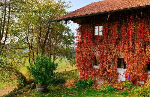 Neureichenau Apartment | Hofatelier Menacher