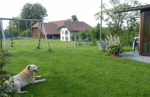Hasle bei Burgdorf Apartment | Holiday apartment Schwanden im Emmental for 1 - 5 persons with 1 bedroom - Holiday apartment