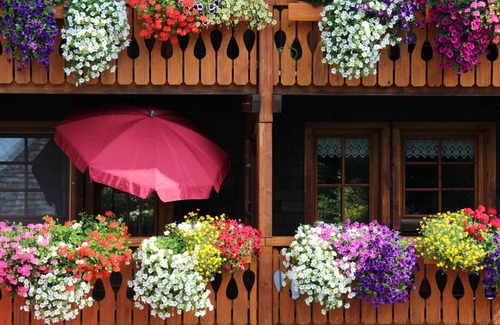 Bernau Apartment | Holiday Apartment Panoramic View