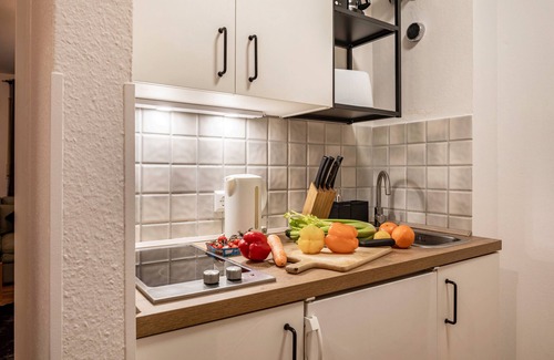 Unterwiehre-Sud Apartment | Holiday Apartment 'Vauban Freiburg' with Private Terrace, Balcony and Wi-Fi