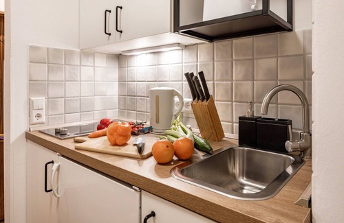 Unterwiehre-Sud Apartment | Holiday Apartment 'Vauban Freiburg' with Private Terrace, Balcony and Wi-Fi