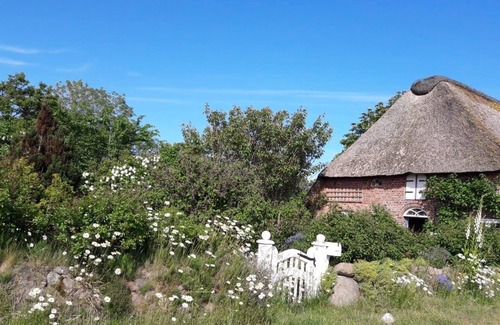 Emmelsbuell-Horsbuell Apartment | Holiday apartment Gotteskoogdeich for 1 - 5 persons with 1 bedroom - Holiday apartment in one or mul