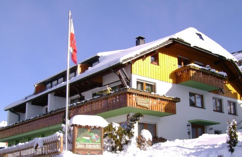 Todtnauberg Apartment | Holiday Apartment '4, 65 sqm' with Mountain View, Shared Terrace and Wi-Fi