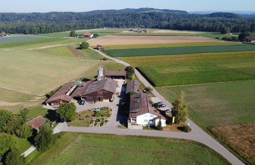 Andelfingen District Apartment | Holiday apartment Flaach for 2 - 4 persons with 1 bedroom - Holiday apartment in a farmhouse