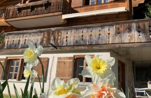 Meiringen Apartment | Holiday apartment Meiringen for 1 - 4 persons with 1 bedroom - Holiday apartment
