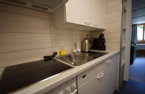 Murren Ski Chalet | Holiday apartment Mürren for 1 - 2 persons - Holiday apartment in one or multi-family house