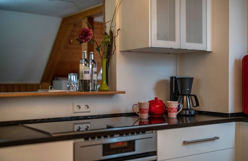 Guetenbach Apartment | Holiday Apartment 'Schwarzwald Chalet - Karlshütte' with Mountain View, Private Terrace and Wi-Fi