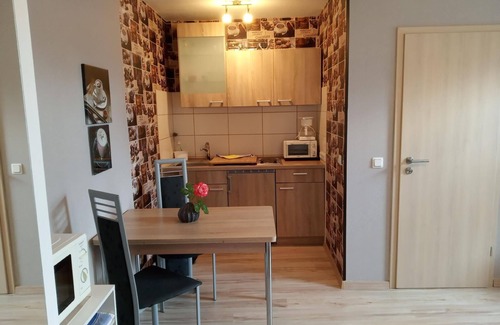 Hasserode Apartment | Holiday apartment Wernigerode for 1 - 2 persons with 1 bedroom - Holiday apartment