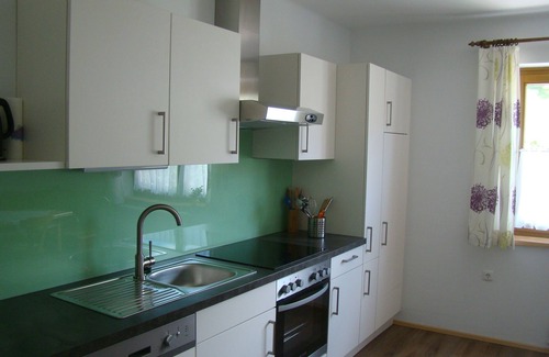 Hollenstein an der Ybbs Apartment | Holiday house with 4 bedrooms and terrace