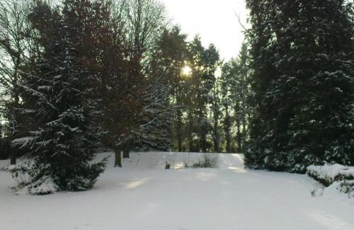 Neuvic-Entier House | Holiday Home in Limousin near Forest, cleaning included