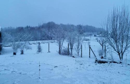 Neuvic-Entier House | Holiday Home in Limousin near Forest, cleaning included