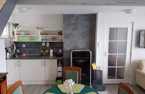 Hluboka nad Vltavou House | Holiday home with a wonderful view with a terrace directly on the lake