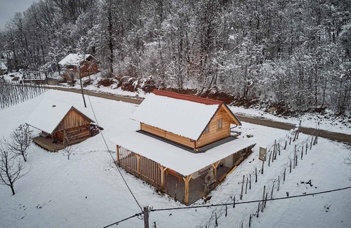 Novo Mesto House | Holiday home beautiful view
