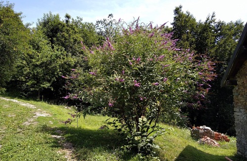 Osiglia House | Holiday Home 'Ca' Rionda' with Mountain View, Private Garden and Wi-Fi