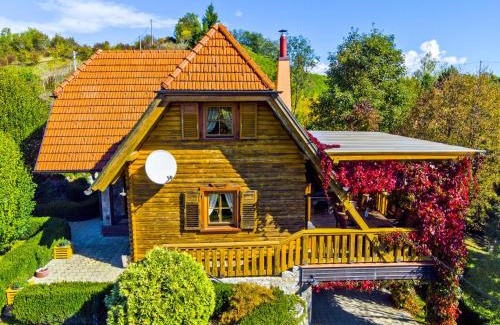 Donja Voca Villa | Holiday Home Grga-Three Bedroom House with Swimming Pool