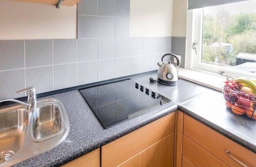 Hollandscheveld House | Holiday Home in Elim near Slagharen Park