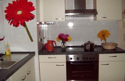 Wilhelmsthal House | Holiday home in Mosbach 3183