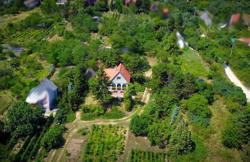Pakozd House | Holiday home in Pakozd - Velence-See 43968