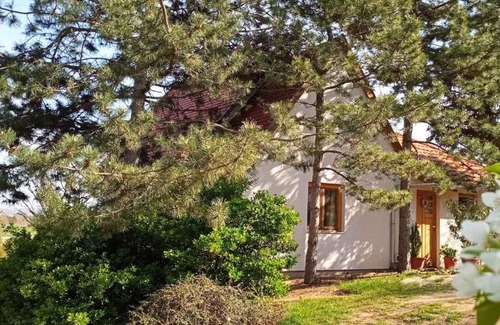Pakozd House | Holiday home in Pakozd - Velence-See 43968