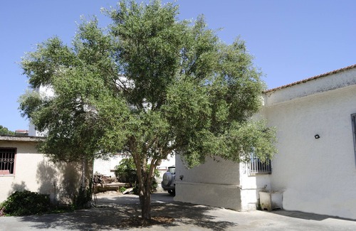 Castel Volturno Villa | Holiday home