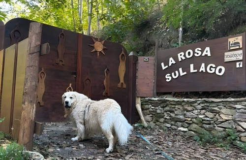 Osiglia House | Holiday Home 'La Rosa sul Lago' Pet-Friendly with Private Garden, Spa, and Wi-Fi