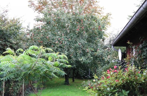 Großegaarde House | Holiday Home "Ockholm"