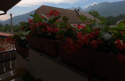 Cezsoca House | Holiday Home Over The River