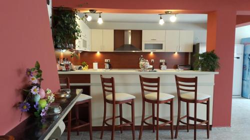 Asparuhovo House | Holiday Home Paulovnia