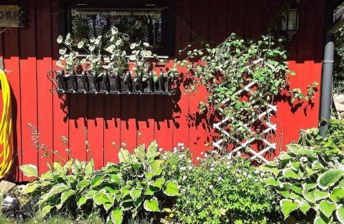 Tjornarp House | Holiday home TJÖRNARP VII