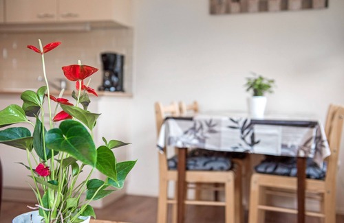 Groet House | Holiday Home "Vakantiewoning Groet" with Garden & Wi-Fi