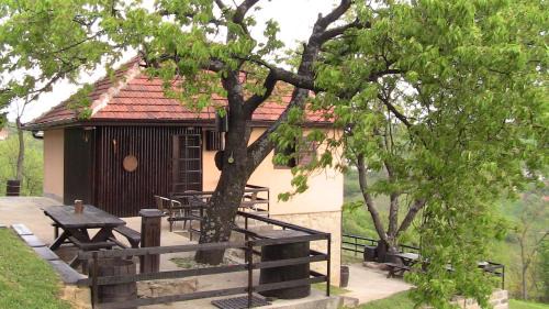 Dragolj House | Holiday Home Vila Kikovi