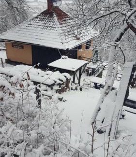 Dragolj House | Holiday Home Vila Kikovi