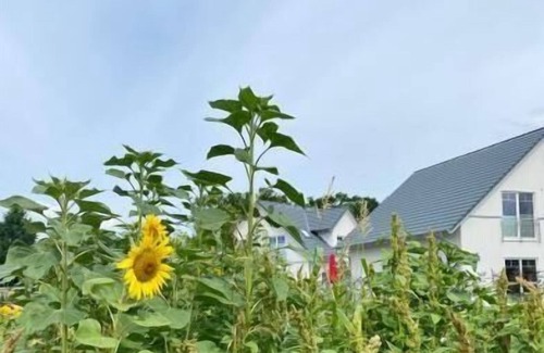 Altwarp House | Holiday house Altwarp for 1 - 6 persons with 3 bedrooms - Holiday house