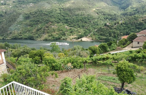 Sardoeira Cottage | Holiday house and weekends Douro region