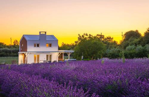 Jursici House | Holiday house Brajdine Lounge