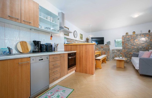 Brzac House | Holiday house GALOVIC with private pool