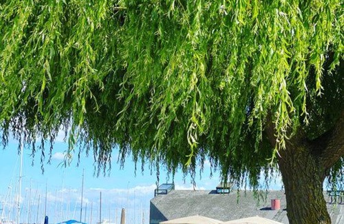 Vedbaek House | Holiday house near forrest, harbor and beach