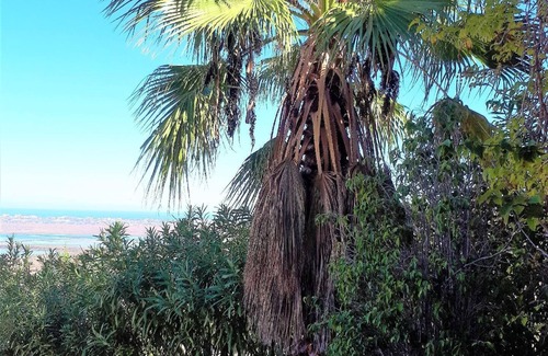 Monte Pego House | Holiday house Pego for 1 - 6 persons with 3 bedrooms - Holiday house