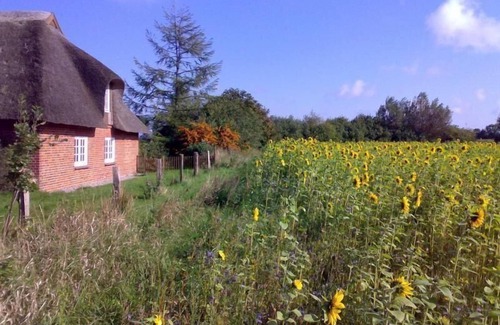 Riepsdorf House | Holiday house Riepsdorf for 1 - 8 persons with 4 bedrooms - Holiday home