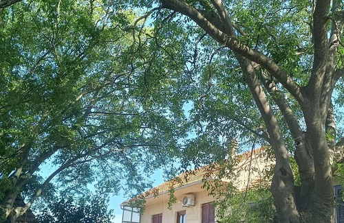 Drnis House | Holiday house with a parking space Širitovci, Krka (K-23081)