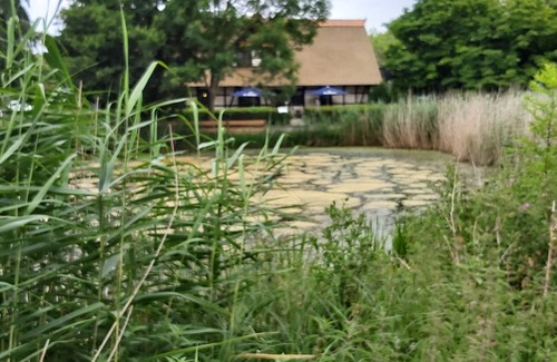 Gollwitz Apartment | Holiday in the Holiday Park Gollwitz