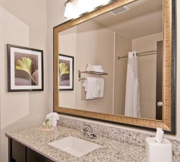 Austin Hotel | Holiday Inn Austin Airport by IHG