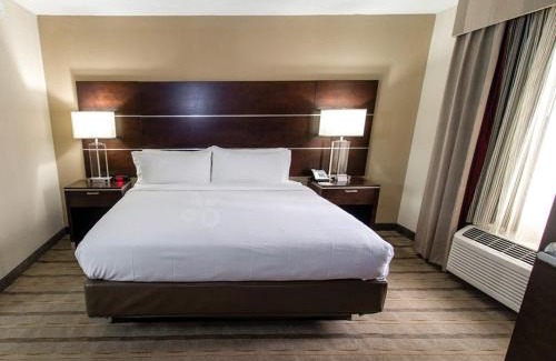 Paw Creek Hotel | Holiday Inn Charlotte Airport by IHG
