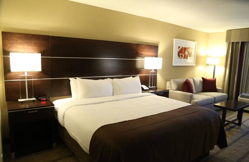 Paw Creek Hotel | Holiday Inn Charlotte Airport by IHG