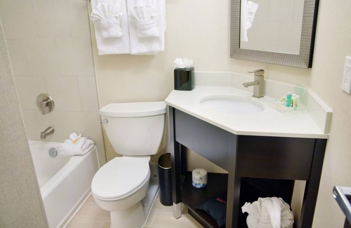 Paw Creek Hotel | Holiday Inn Charlotte Airport by IHG