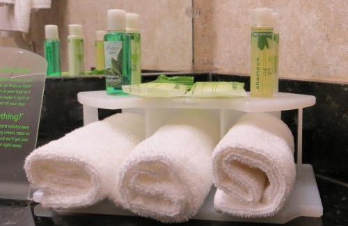 Schulenburg Hotel | Holiday Inn Express and Suites Schulenburg by IHG