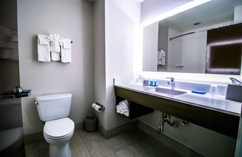 Port Allen Hotel | Holiday Inn Express Hotel & Suites, a Baton Rouge-Port Allen by IHG
