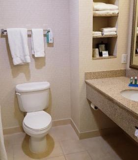 Twin Falls Hotel | Holiday Inn Express Hotel Twin Falls by IHG