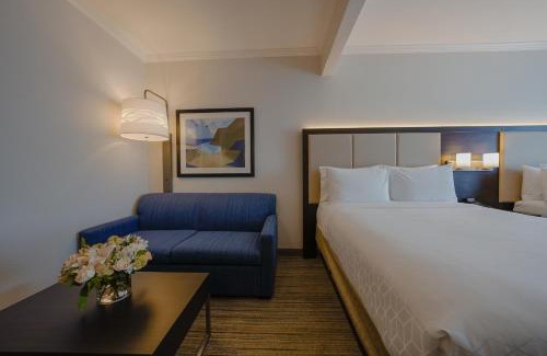 Santa Clara Hotel | Holiday Inn Express & Suites Santa Clara - Silicon Valley by IHG