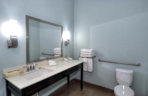 Sweetbriar Hotel | Holiday Inn Express & Suites Austin South by IHG
